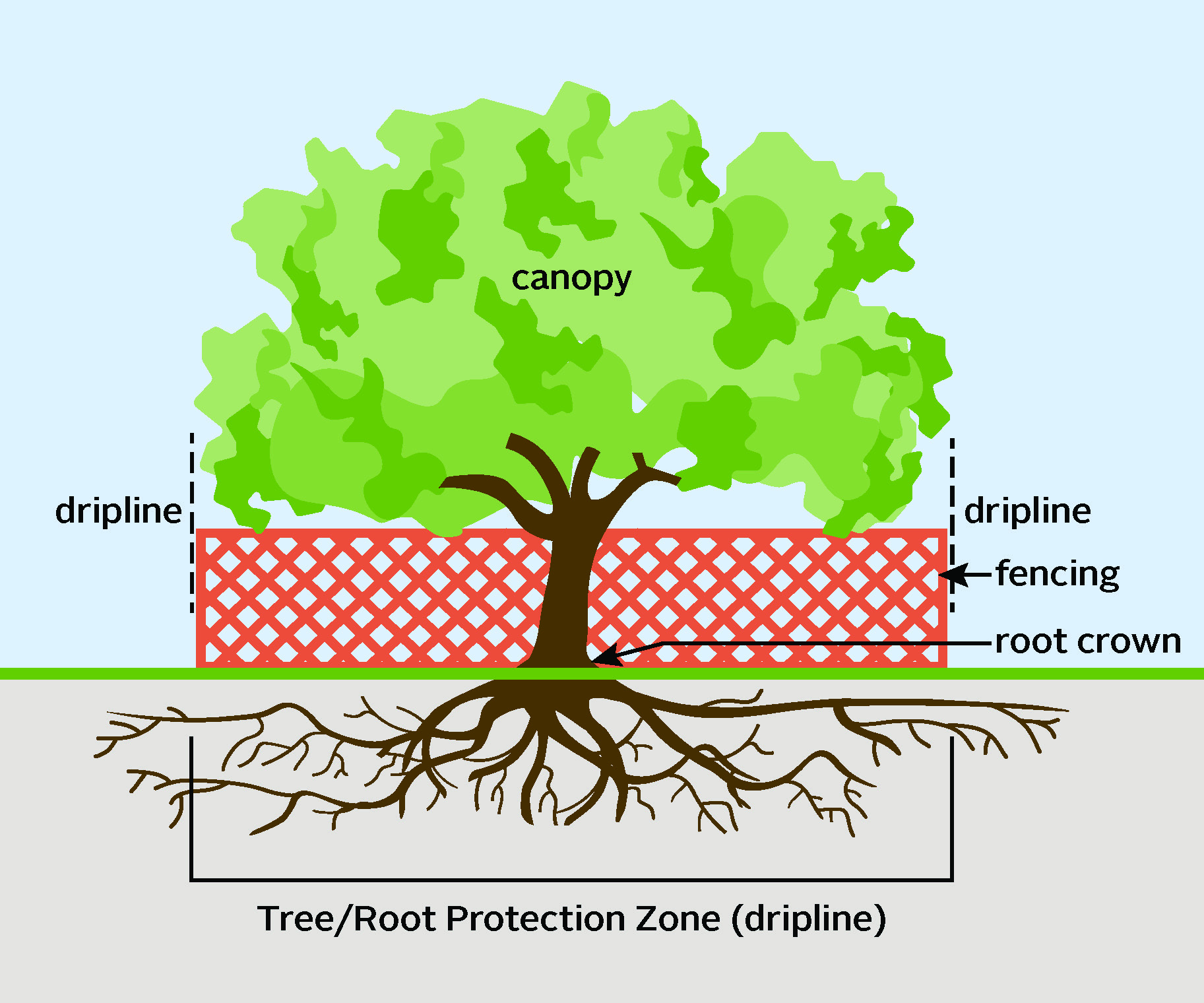 Un arboriste qui déclame sur le sol et les arbres. et il est temps pour ...